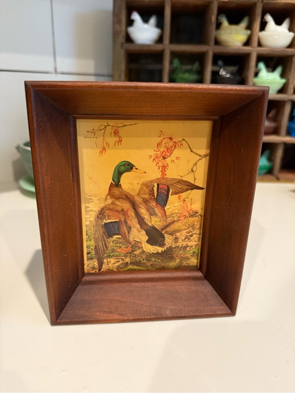 Framed Duck Illustration in Wooden Frame - Green & Brown